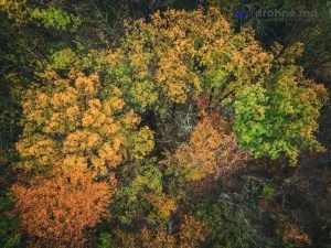 Herbstfarben