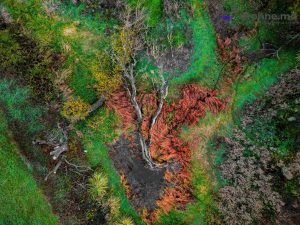 Farben in der Natur